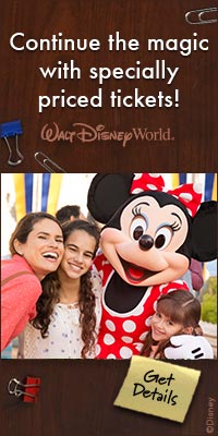WDW Minnie Mouse Banner Continue the Magic with Specially Priced Tickets!