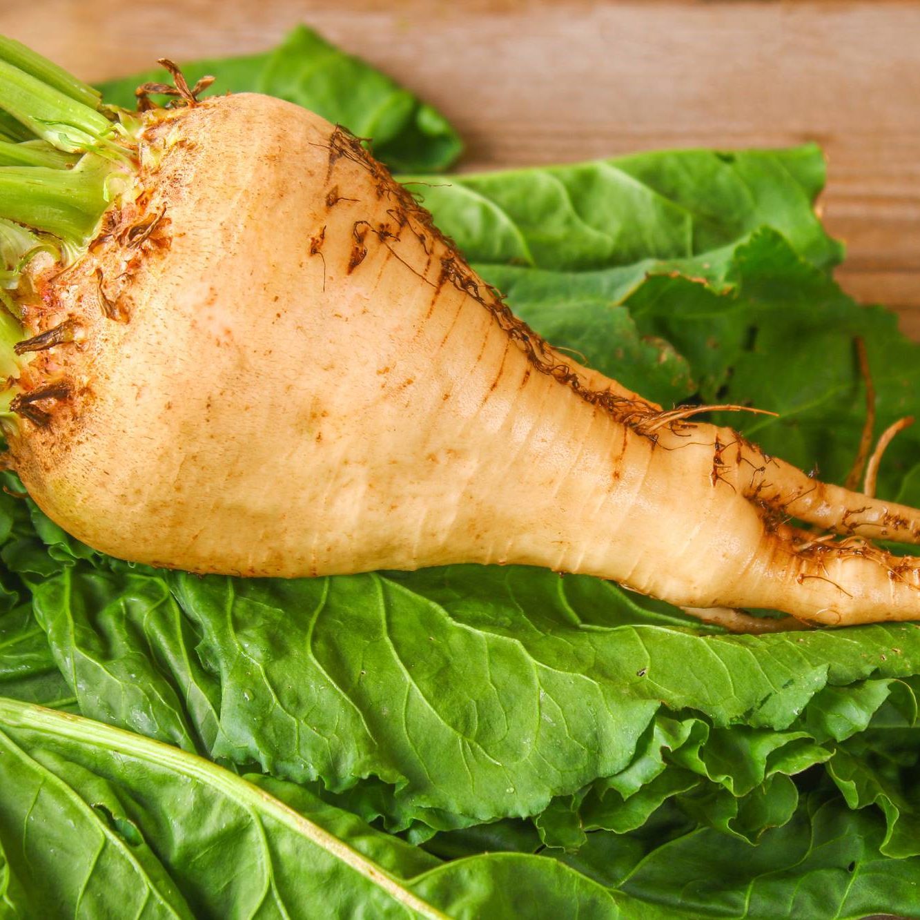 Sugar beet with tops on an old wooden table. Sugar beet with tops on an old wooden table